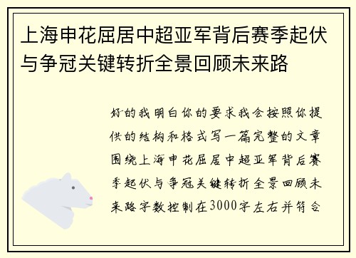 上海申花屈居中超亚军背后赛季起伏与争冠关键转折全景回顾未来路 上海申花屈居中超亚军背后赛季起伏与争冠关键转折全景回顾未来路